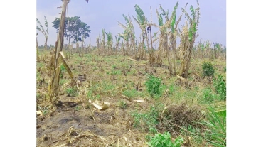 WhatsApp Image 2025-03-21 at 21.50.37.jpg